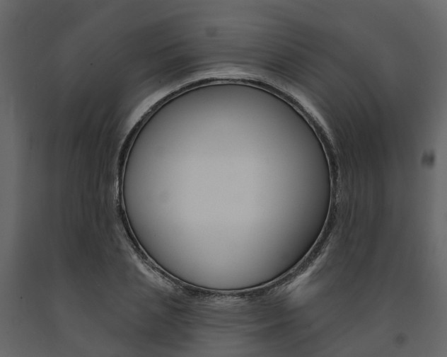 X0000091690837200708231129