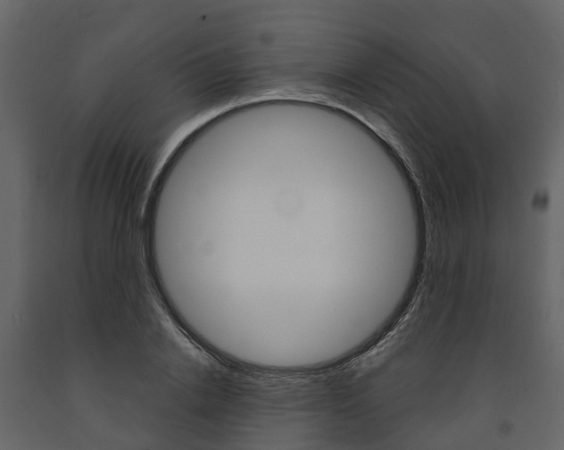 X0000091690838200708231129