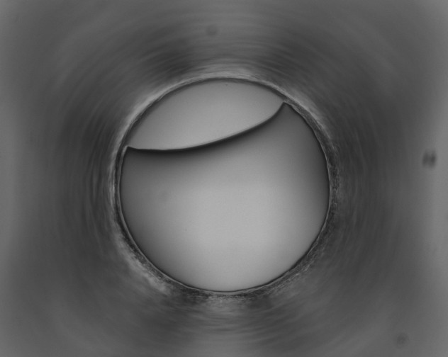 X0000091690840200708231129