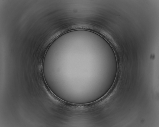 X0000091690841200708231129