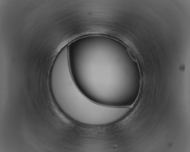 X0000091690842200708231129