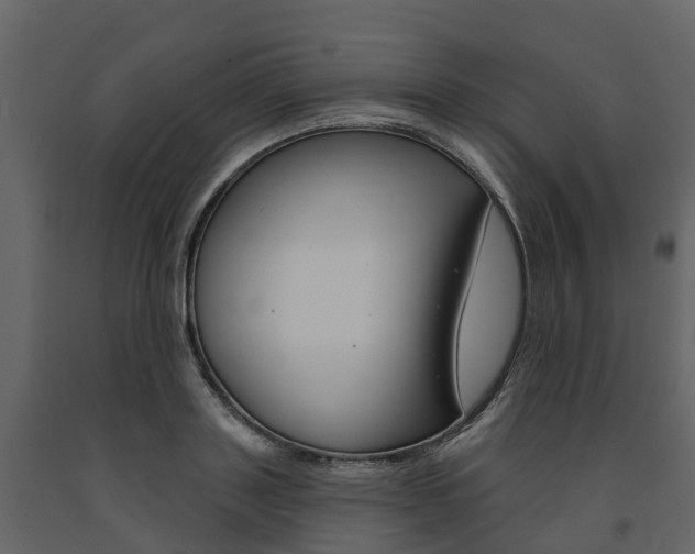 X0000091690843200708231129