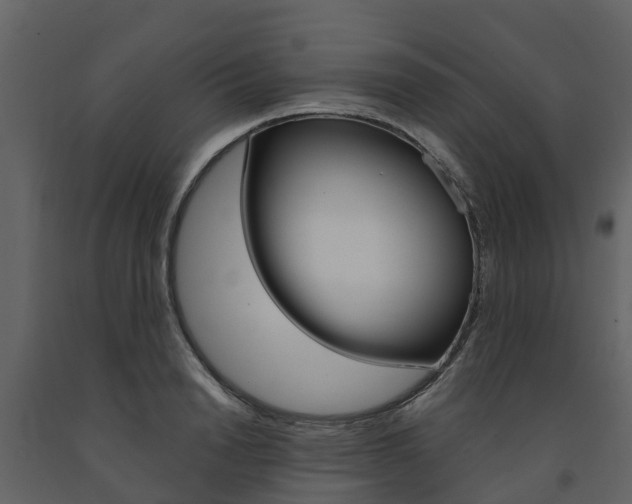 X0000091690846200708231129