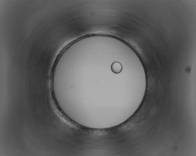 X0000091690848200708231129