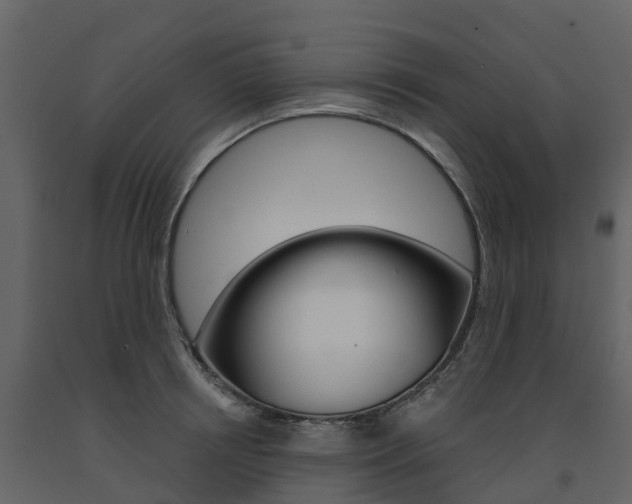 X0000091690850200708231129