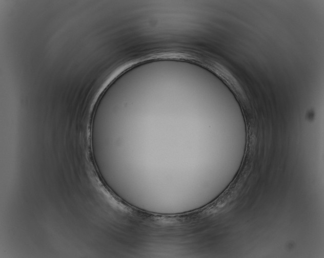 X0000091690852200708231129