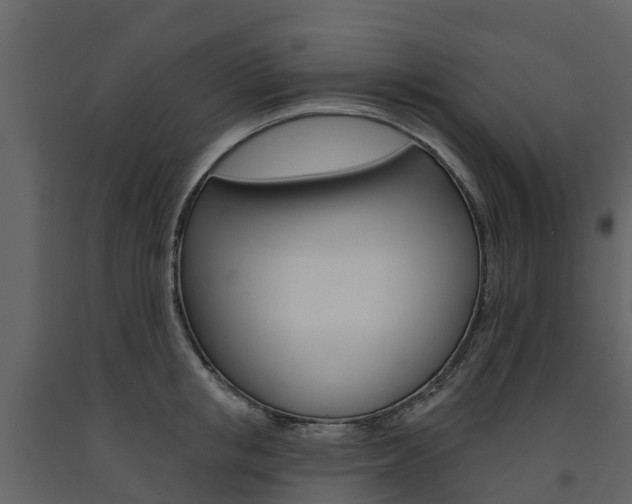 X0000091690853200708231129
