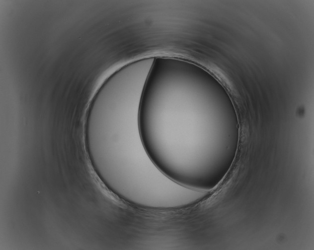 X0000091690854200708231129