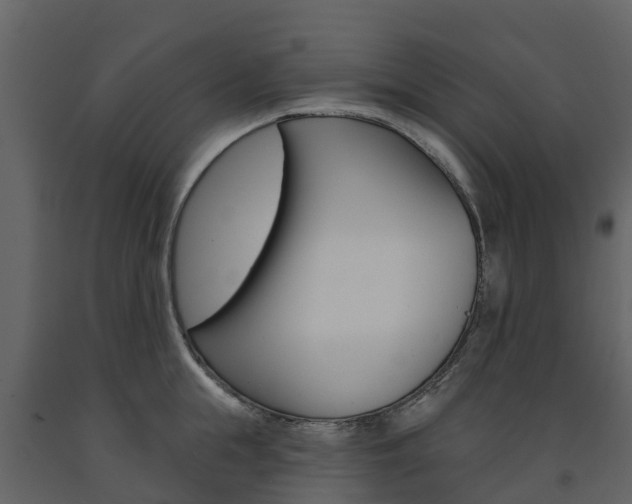 X0000091690855200708231129