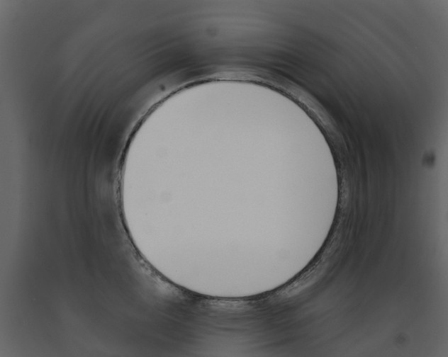 X0000091690856200708231129