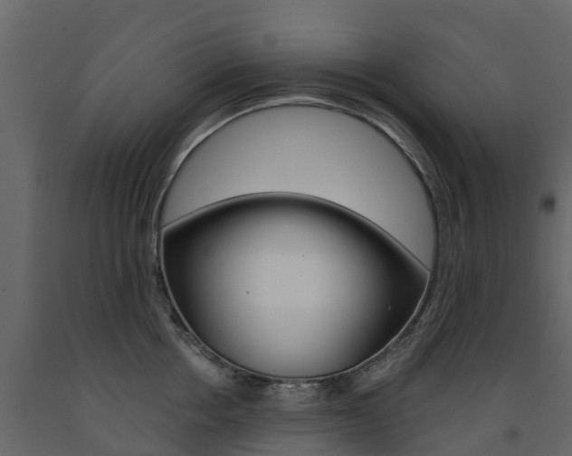 X0000091690858200708231129