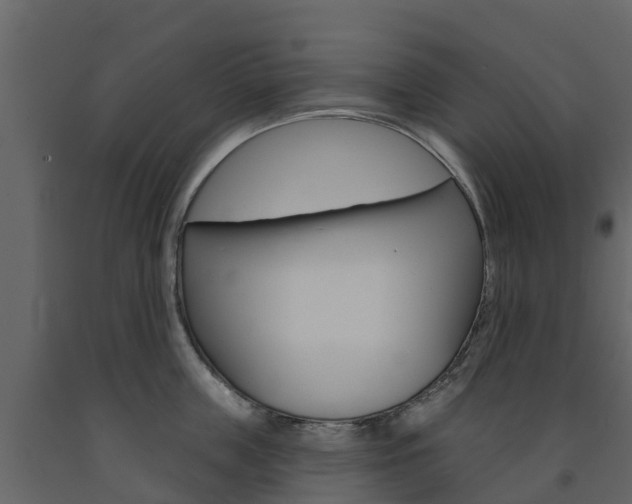 X0000091690859200708231129