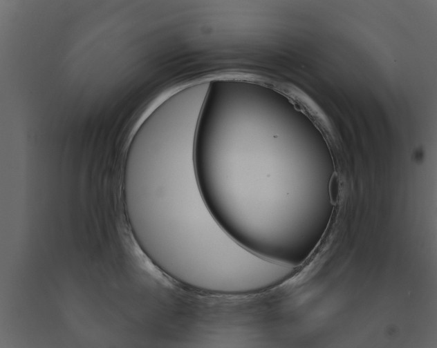 X0000091690860200708231129