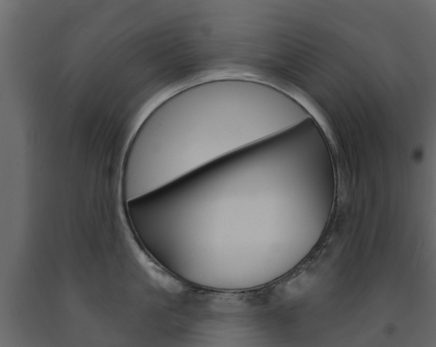 X0000091690861200708231129