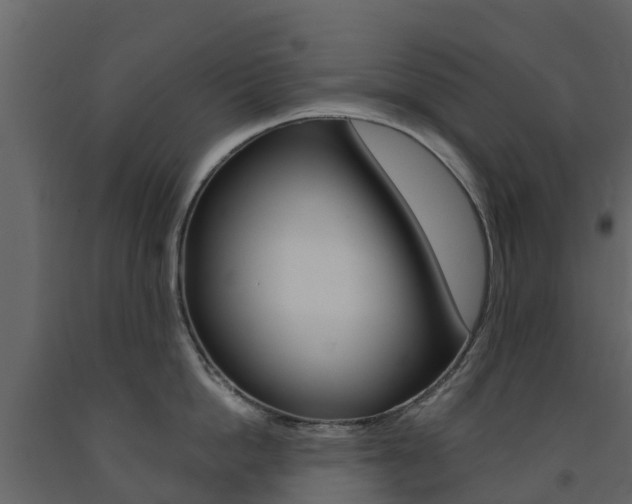 X0000091690862200708231129
