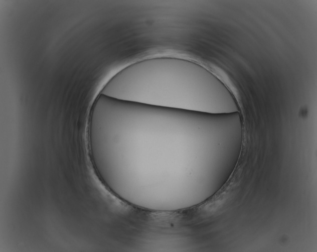 X0000091690863200708231129