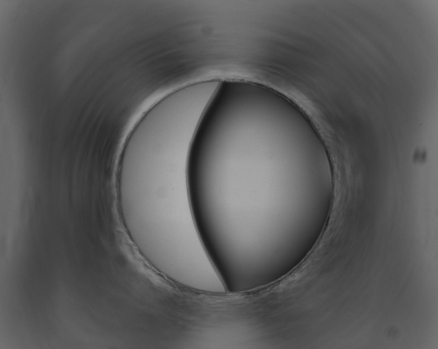 X0000091690864200708231129