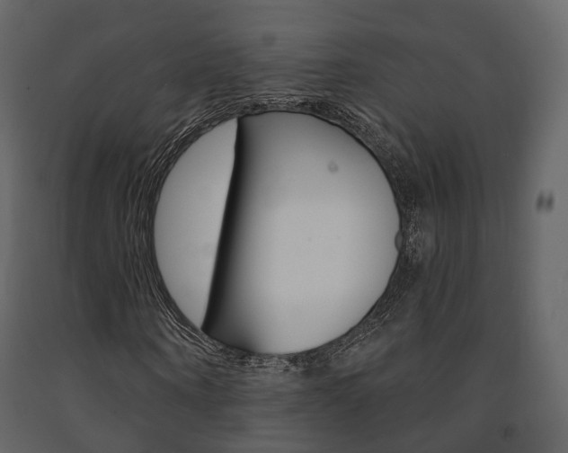X0000091690866200708231128