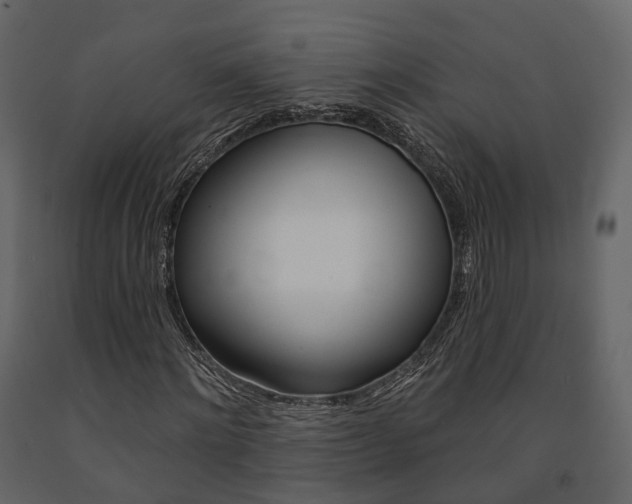 X0000091690868200708231128