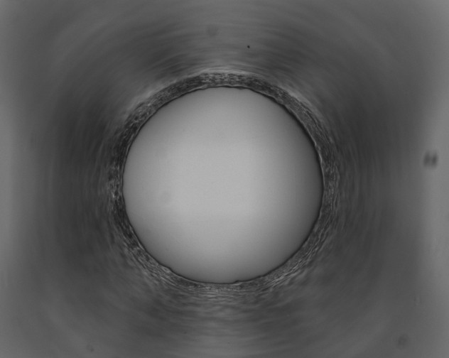 X0000091690870200708231128