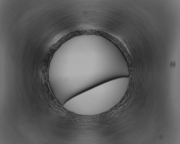 X0000091690871200708231128