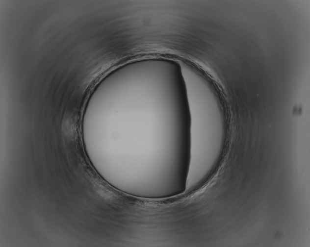 X0000091690873200708231128