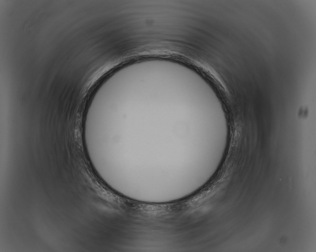 X0000091690874200708231128