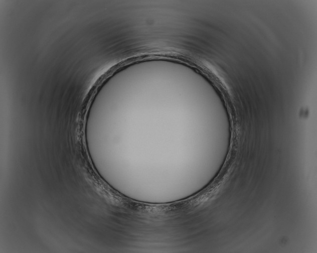 X0000091690875200708231128