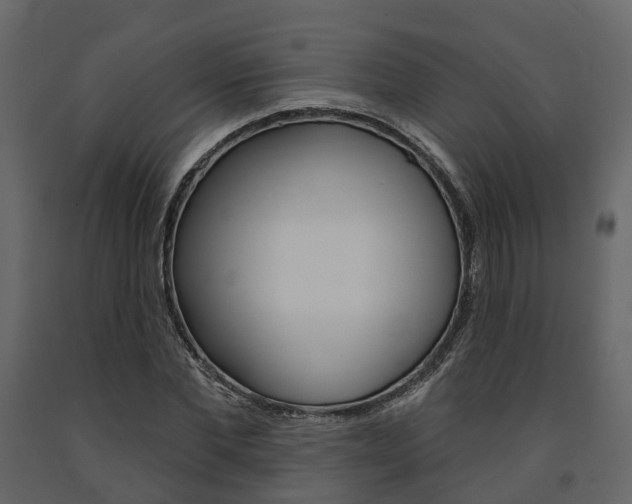 X0000091690877200708231128