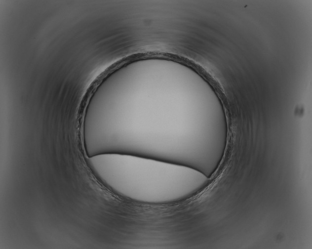 X0000091690879200708231128