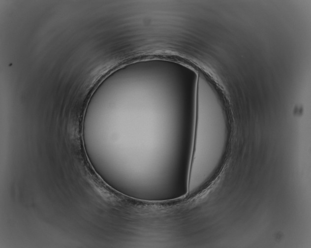 X0000091690881200708231128
