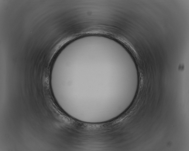 X0000091690882200708231128