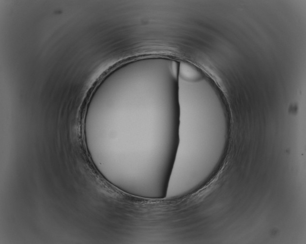 X0000091690883200708231128