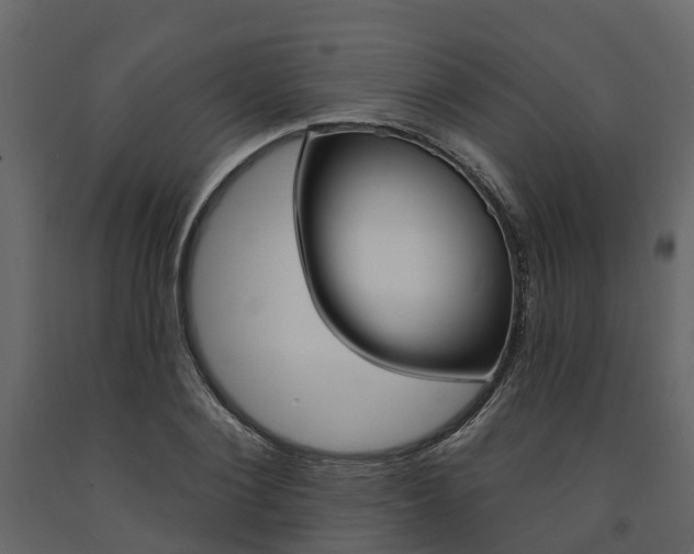 X0000091690884200708231128