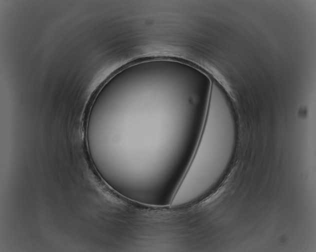 X0000091690885200708231128
