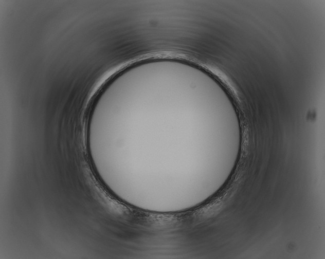 X0000091690886200708231128