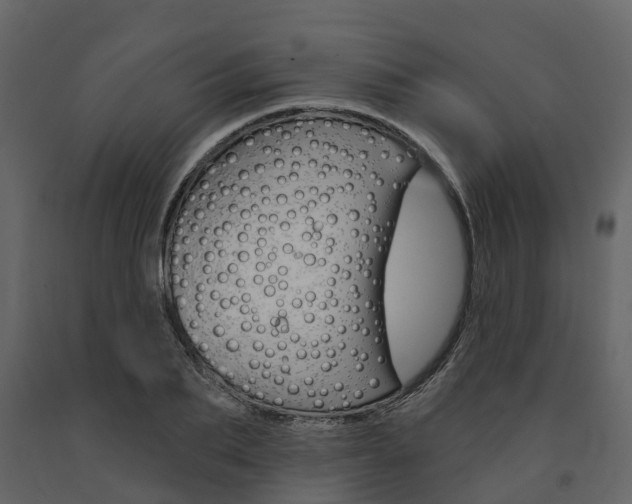 X0000091690887200708231128