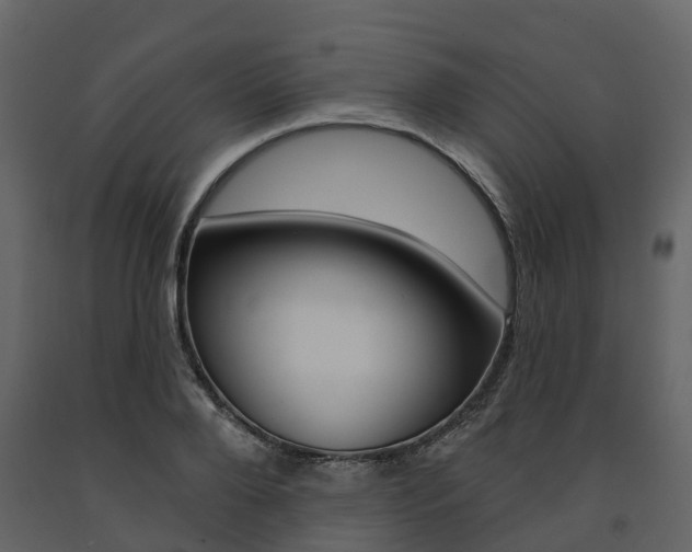 X0000091690888200708231128