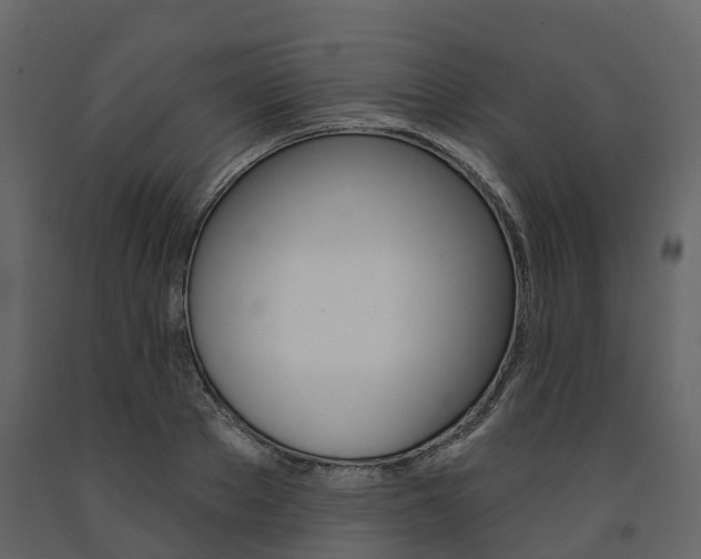 X0000091690889200708231128