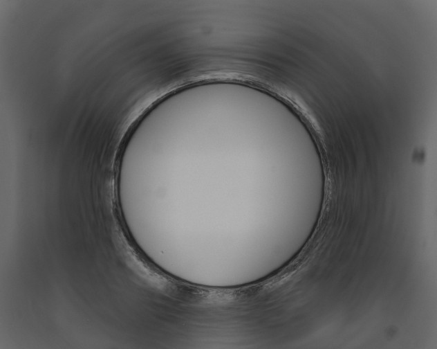 X0000091690890200708231128