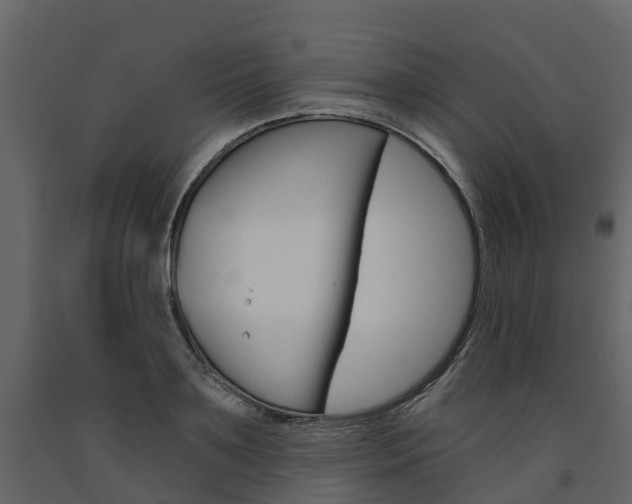X0000091690891200708231128