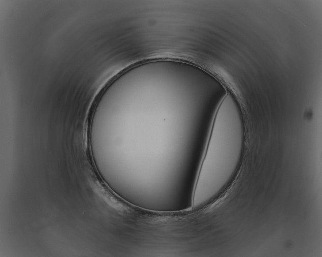 X0000091690892200708231128