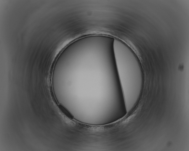 X0000091690893200708231128