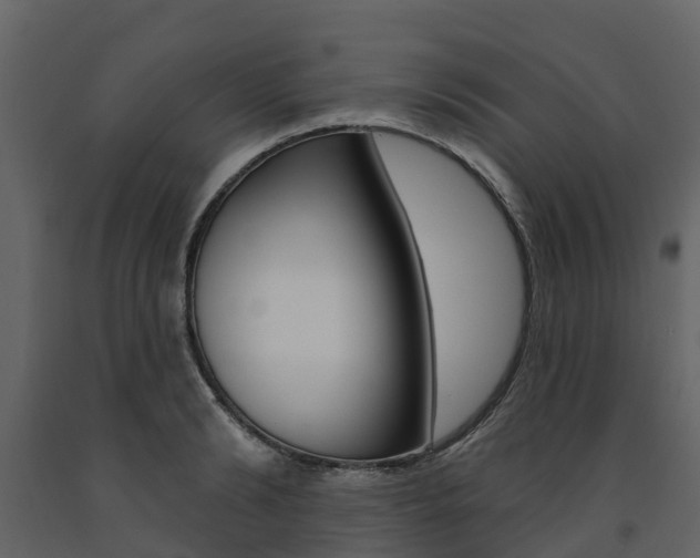 X0000091690894200708231128