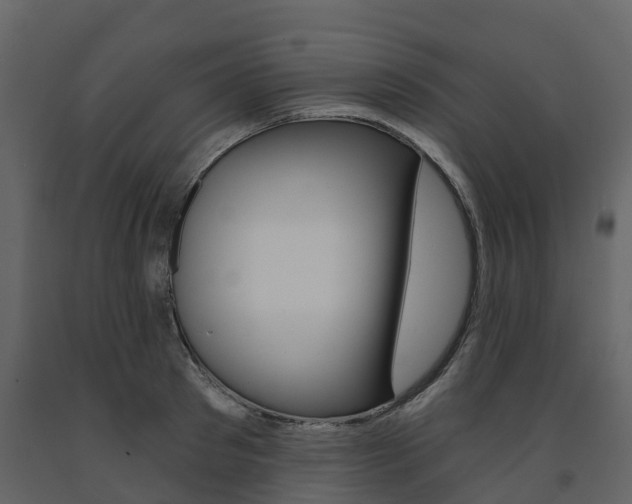 X0000091690897200708231128