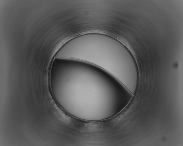 X0000091690898200708231128