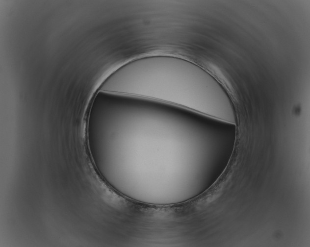 X0000091690900200708231128