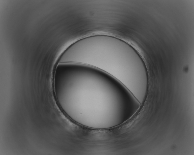 X0000091690902200708231128