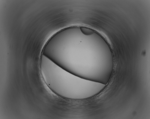 X0000091690903200708231128