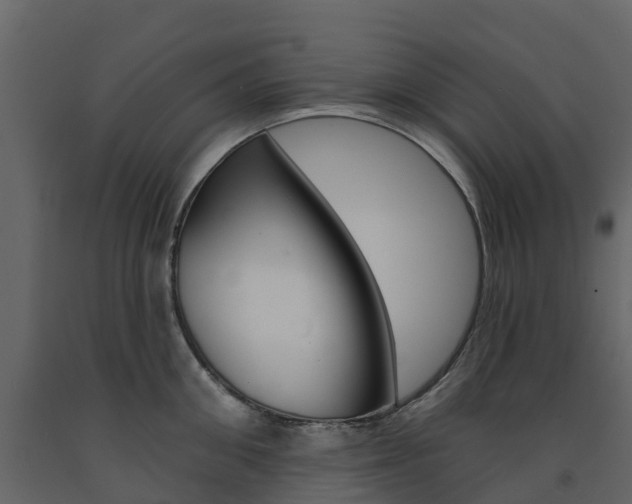 X0000091690906200708231128